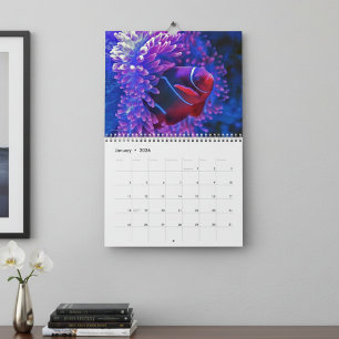 Kleurrijke Tropische Vissen 2026 Onderwaterparadij Kalender