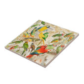 Kleurrijke  tropische vogelparrots tegeltje (Zijkant)