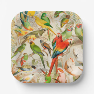 Kleurrijke  tropische vogels Ara papegaaien Papieren Bordje