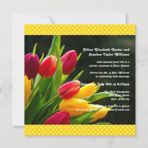 Kleurrijke Tulpen Foto - 5x5 Trouw Aankondiging