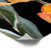 Kleurrijke tulpen, geïsoleerde zwarte achtergrond. poster (Hoek)