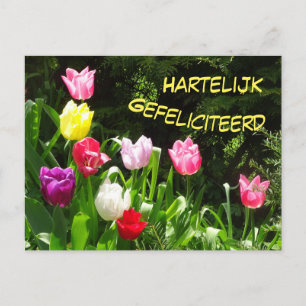 Kleurrijke Tulpen Gelukkige Verjaardag Ansichtkaar Briefkaart