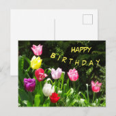 Kleurrijke tulpen Gelukkige verjaardag tekst ansic Briefkaart (Voorkant / Achterkant)