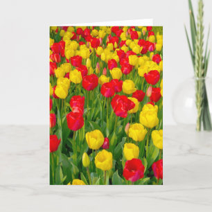 Kleurrijke Tulpen III - Verticaal Kaart