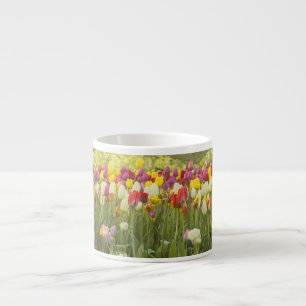 Kleurrijke tulpen in een park 2 espresso kop
