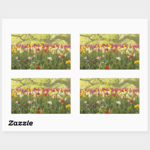 Kleurrijke tulpen in een park 2 rechthoekige sticker