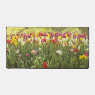 Kleurrijke tulpen in een park bureaumat