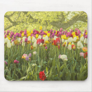 Kleurrijke tulpen in een park muismat