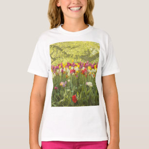 Kleurrijke tulpen in een park t-shirt