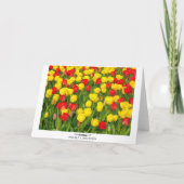 Kleurrijke Tulpen IV Kaart (Achterkant)