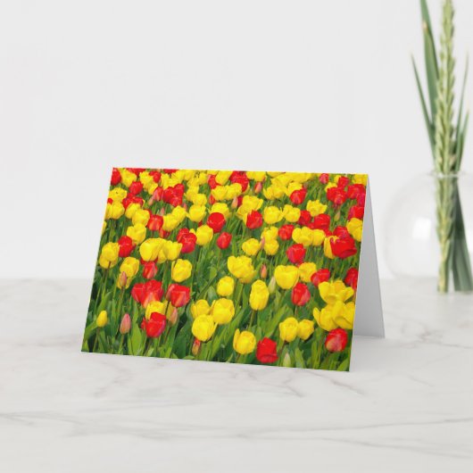 Kleurrijke Tulpen IV Kaart (Voorkant)