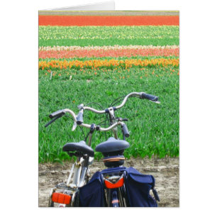 Kleurrijke Tulpenfietsen