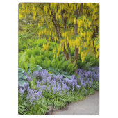 Kleurrijke veertulpen klembord (Achterkant)