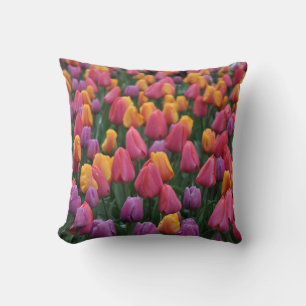 Kleurrijke veertulpen kussen
