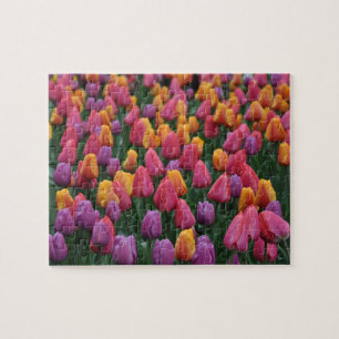Kleurrijke veertulpen legpuzzel