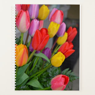 Kleurrijke veertulpen planner