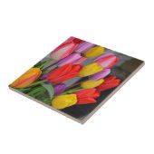 Kleurrijke veertulpen tegeltje (Zijkant)