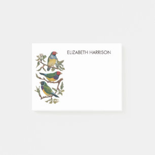 Kleurrijke vinkvogels illustreren Post-it Notes