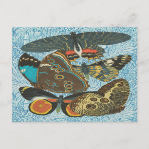 Kleurrijke Vintage Vlinder Botanische Kunst Briefkaart