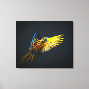 Kleurrijke vliegende ara op een donkere achtergron canvas afdruk
