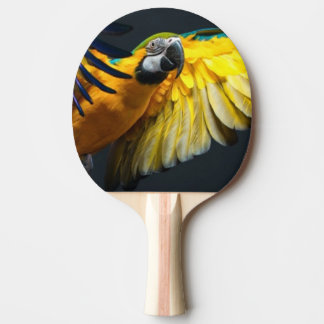 Kleurrijke vliegende ara op een donkere achtergron tafeltennisbatje