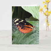 Kleurrijke Vlinder Groet  Kaart (Gele Bloem)