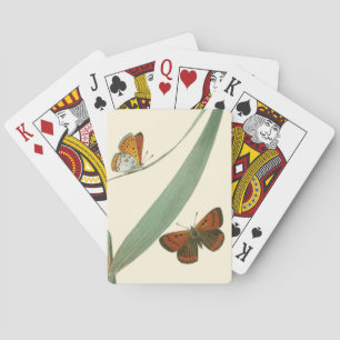 Kleurrijke Vlinders Fladderen Rond een Blad Speelkaarten