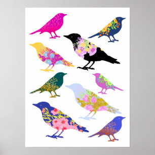 Kleurrijke vogelbloemen verlaten Chic Florence Ani Poster