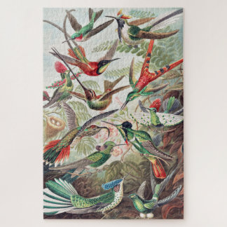 Kleurrijke vogels legpuzzel