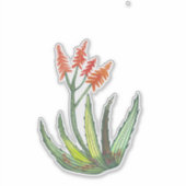 Kleurrijke Waterverf Aloe Vera Succulent FLowers Sticker (Voorkant)