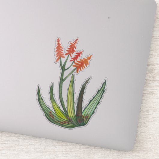 Kleurrijke Waterverf Aloe Vera Succulent FLowers Sticker (Detail)