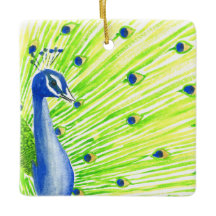 Kleurrijke Waterverf Peacock