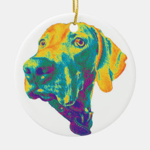 Kleurrijke weimaraner-versiering keramisch ornament