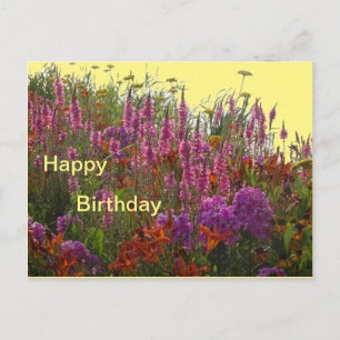 Kleurrijke Wilde Bloemen Gelukkige Verjaardag Ansi Briefkaart