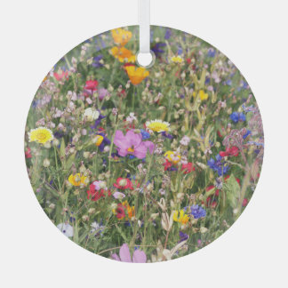 Kleurrijke wilde bloemenweide, levendig patroon. glas ornament