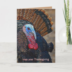 Kleurrijke wilde kalkoen Thanksgiving Schattige Un Feestdagen Kaart
