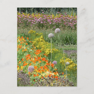 Kleurrijke Wildflowers Field DIY Briefkaart