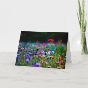 Kleurrijke Wildflowers foto wenskaart Kaart
