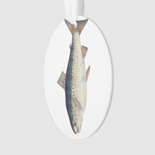 Kleurrijke  zalmillustratie ornament (voorkant)