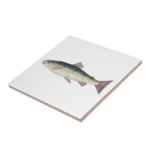 Kleurrijke  zalmillustratie tegeltje (Zijkant)