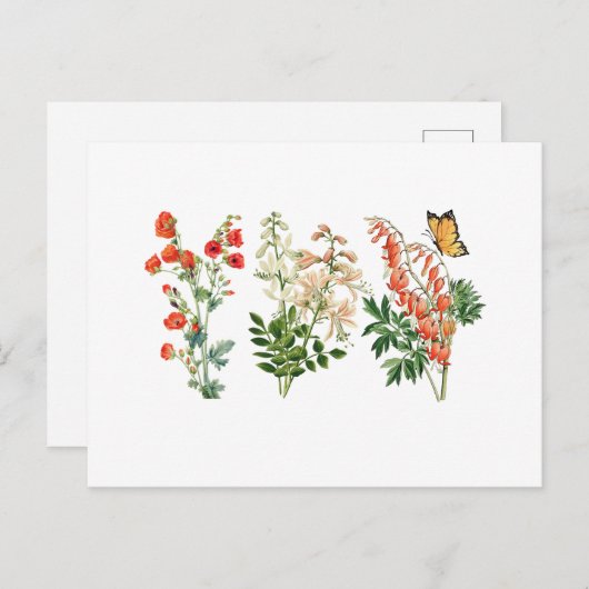 Kleurrijke zomerbloemen briefkaart (Voorkant / Achterkant)