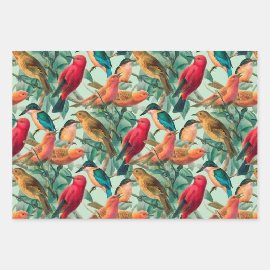 Kleurrijke zongvogels en groen lederen patroon inpakpapier vel (Voorkant)