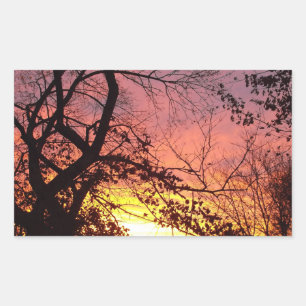 Kleurrijke zonsondergang door haarstomen rechthoekige sticker