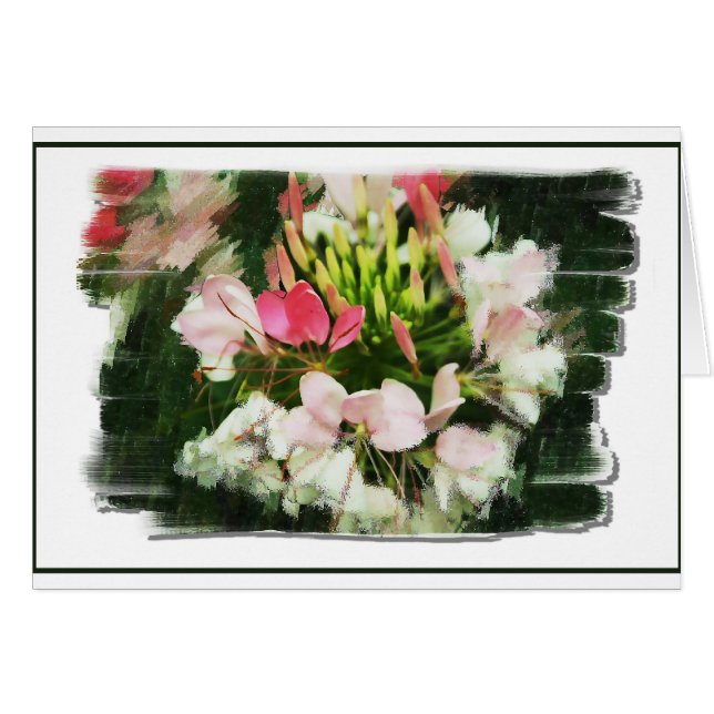 Kleurscenten (Voorkant Horizontaal)