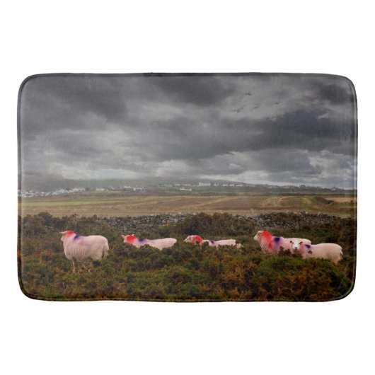 Kleurschapen Badmat (Voorkant)