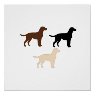kleursilhouettes voor labradorRecever Perfect Poster