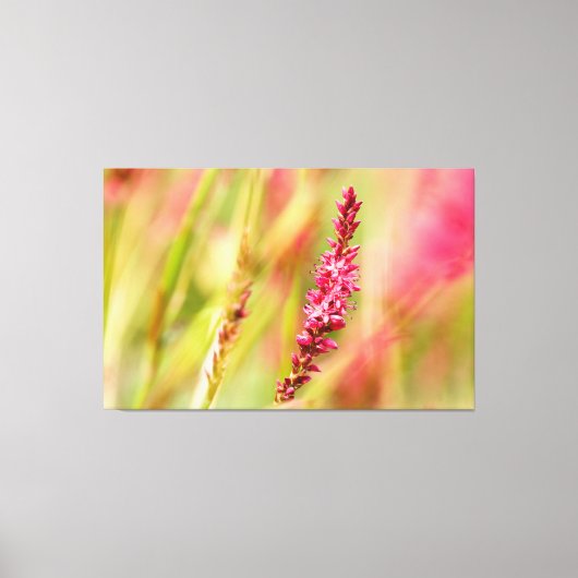 kleurstof canvas afdruk (Voorkant)