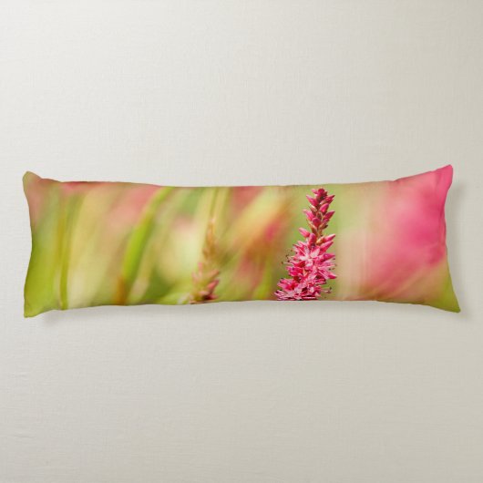 kleurstof lichaamskussen (Achterkant)