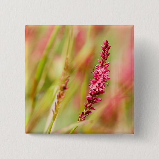 kleurstof vierkante button 5,1 cm (Voorkant)