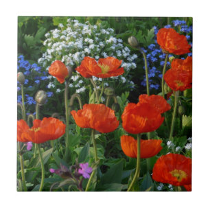 Kleurstofbloem met rode papies tegeltje
